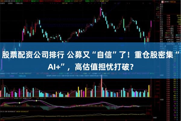 股票配资公司排行 公募又“自信”了！重仓股密集“AI+”，高估值担忧打破？